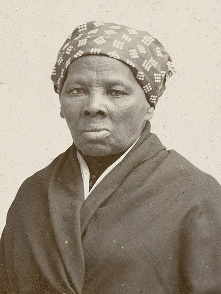 Bound for the Promised Land: Harriet Tubman, Portrait of an American Hero -  International Spy Museum Store